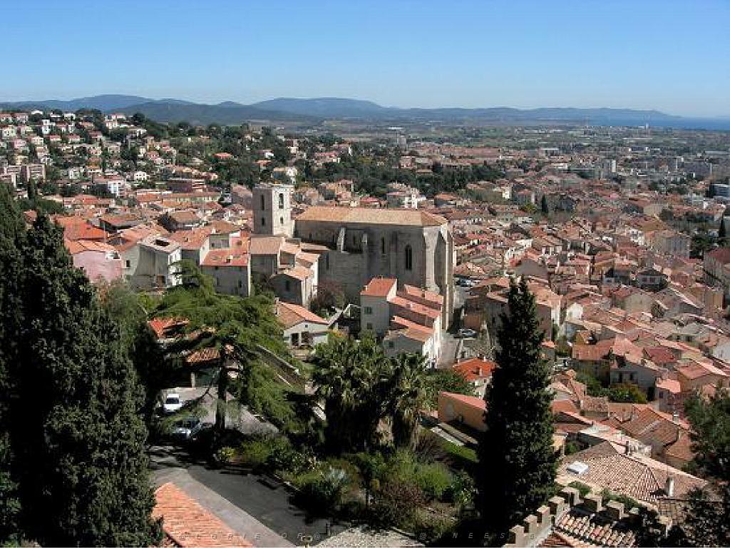 183 HYERES ET SES PALMIERS D13_000012.jpg